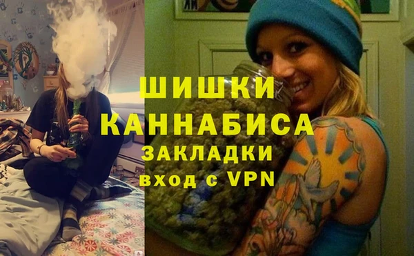 ПСИЛОЦИБИНОВЫЕ ГРИБЫ Богородицк