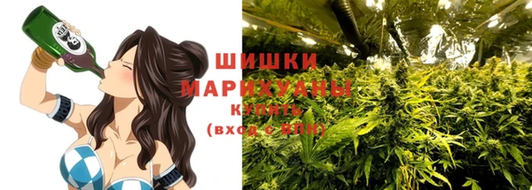 mdpv Богородск