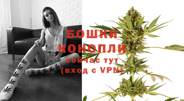 ПСИЛОЦИБИНОВЫЕ ГРИБЫ Богородицк
