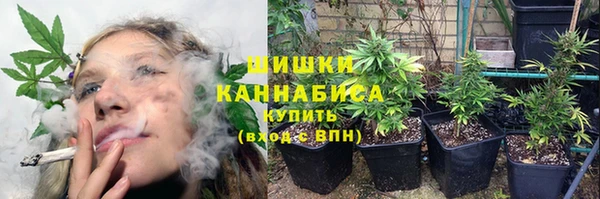 МДПВ Богданович