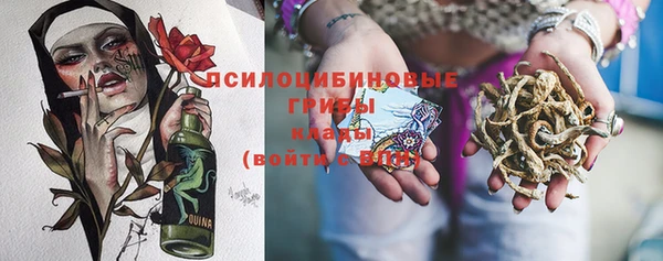прущие крисы Беломорск